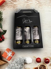 Dárková sada vín „Caractère" (3x 0,75l)