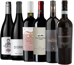 Zvýhodněný balíček červených vín (6x 0,75 l)