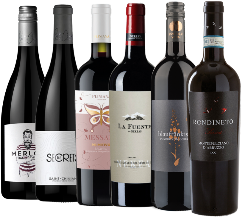 Zvýhodněný balíček červených vín (6x 0,75 l)