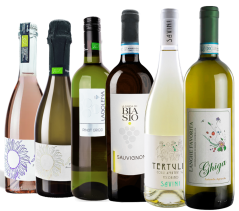 Set svěžích letních vín (6x 0,75 l)