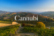 Cannubi, „kopec”, který předává vínům Barolo duši.