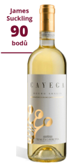 Roero Arneis D.O.C.G. Cayega