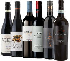 Zvýhodněný balíček červených vín (6x 0,75 l)